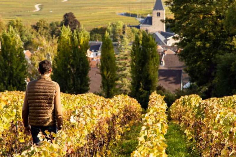 Parcellaire Les Agneaux